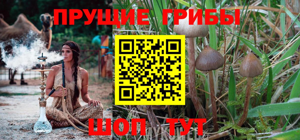 ГАШИШ  Каннабис  Экстази  Советск  Меф МЯУ МЯУ  Вход с VPN  МЕФ   ТГК 